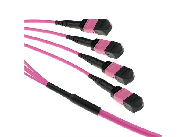 ACT Fiber Trunk  MTP/MTO 50/125 OM4, 70m Polarity A connectors, 12 Fiber 6,8mm 