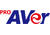 AVer Information Inc. AVer