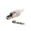 SCP RJ45 Plugg Cat.6A 10G Skjermet Field 22-26AWG IP20 Reusable Toolless