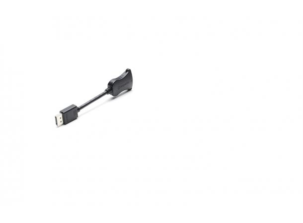 Superio Single Adapter Pigtail DP