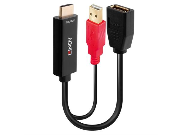 Lindy Adapter HDMI 18G > DisplayPort med USB Power Videokilde: HDMI