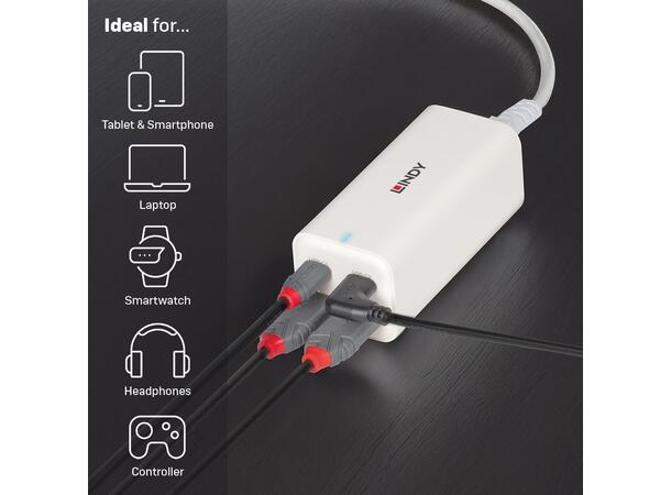 Lindy USB A+C lader100W 2x USB-C 2x USB A GaN 