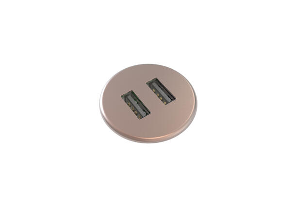 FF PM30 MICRO - 2x USB Ø30mm,  Total 5v, 2000 mA, Rosa Gull 