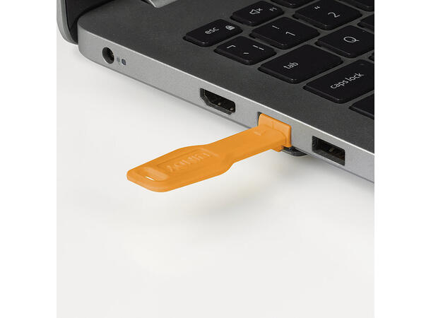 Lindy RJ45 Port Blocker Kit Oransje 10 låser og nøkkel 